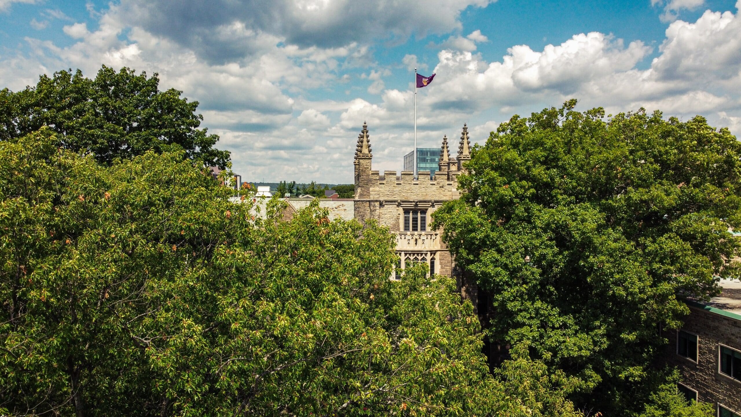 Image of McMaster University courtesy of GV Chana/Unsplash