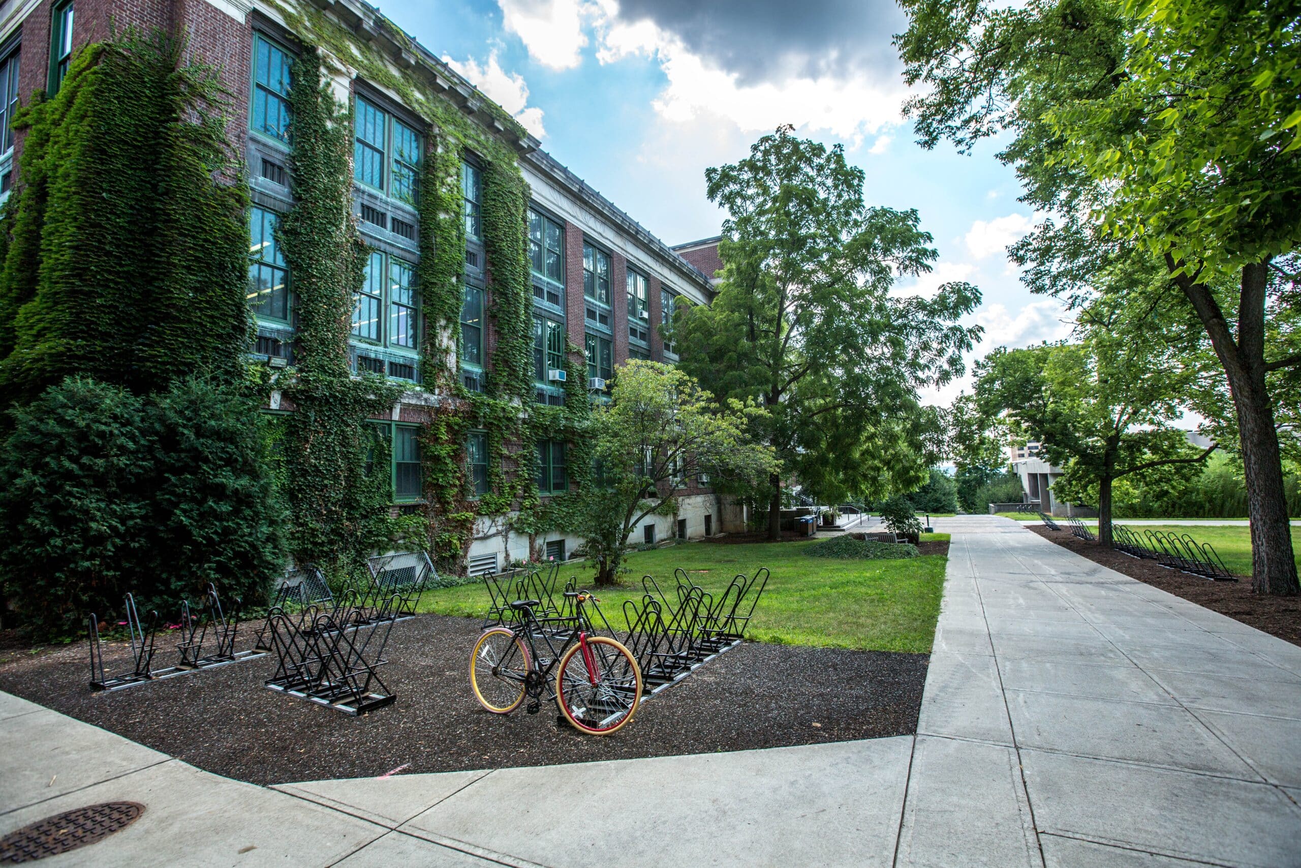 university campus with building, path, and a bike locked up