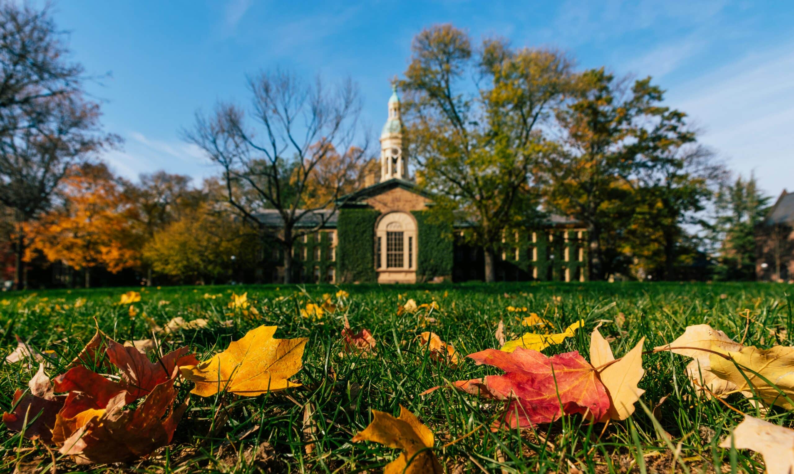 university campus in the fall