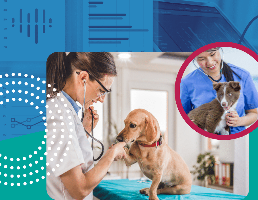 vet program case study